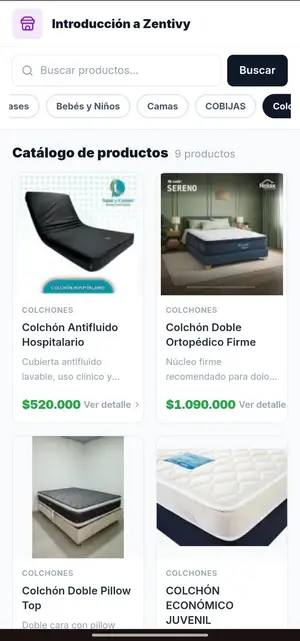 Catálogo web de Zentivy visto en celular por un cliente